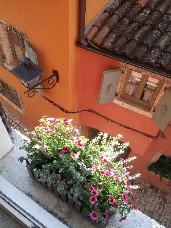 Studio Yellow Flower Rovinj Extérieur photo